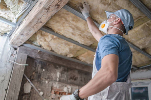 Best Geographic-Specific Insulation Services in Miami Lakes, FL